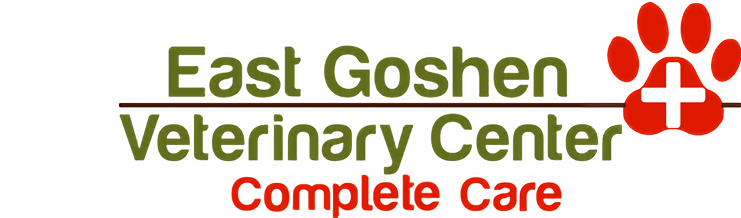 East Goshen Veterinary Hospital